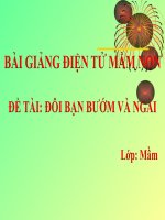 Bài giảng điện tử mầm non lớp Mầm đề tài Đôi bạn bướm và ngài