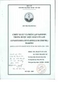 Chiết xuất và phân lập saponin trong dược liệu giảo cổ lam gynostemme pentaphyllum (thumb )makido