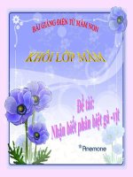 Bài giảng điện tử mầm non lớp Mầm đề tài Nhận biết phân biệt gà, vịt