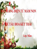 Bài giảng điện tử mầm non lớp Mầm đề tài Hoa kết trái