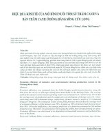 Hiệu quả kinh tế của mô hình nuôi tôm sú thâm canh và bán thâm canh ở đồng bằng sông cửu long 