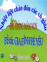 Bài giảng điện tử mầm non lớp Mầm đề tài Gia đình bé yêu