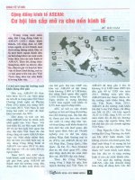 Cộng đồng kinh tế asean   cơ hội lớn sắp mở ra cho nền kinh tế 