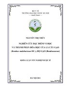 Nghiên cứu đặc điểm vi học và thành phần hoá học của lá cây gạo ( bombax malabaricum DC ), họ gạo ( bombacaceae)