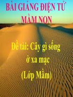 Bài giảng điện tử mầm non lớp Mầm đề tài Cây gì sống ở sa mạc