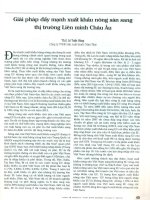 Giải pháp đẩy mạnh xuất khẩu nông sản sang thị trường liên minh châu âu 