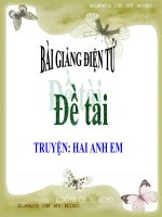 Bài giảng điện tử mầm non lớp Mầm đề tài Truyện Hai anh em
