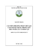 Cải tiến phương pháp chế tạo cao ngô sử dụng trong lên men nuôi cấy vi sinh vật