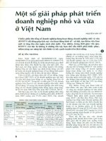 Một số giải pháp phát triển doanh nghiệp nhỏ và vừa ở việt nam 