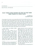 Phát triển công nghiệp hỗ trợ tại việt nam hiện trạng và triền vọng 