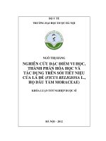 Nghiên cứu đặc điểm vi học, thành phần hóa học và tác dụng trên sỏi tiết niệu của lá đề ( ficus religiosa l , họ dâu tằm moraceae)