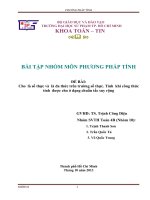 tiểu luận phương pháp tính