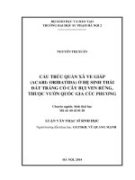 Cấu trúc quần xã ve giáp (acari oribatida) ở hệ sinh thái đất trảng cỏ cây bụi ven rừng, thuộc rừng quốc gia cúc phương, tỉnh ninh bình (LV01298)