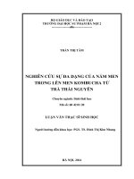 Nghiên cứu sự đa dạng của nấm men trong lên men kombucha từ trà thái nguyên (LV01302)