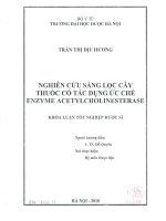 Nghiên cứu sàng lọc cây thuốc có tác dụng ức chế enzyme acetylcholinesterase