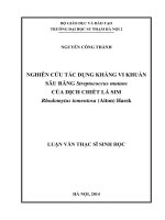 Nghiên cứu tác dụng kháng vi khuẩn sâu răng streptococcus mutans của dịch chiết lá sim rhodomytus tomentosa (aiton) hassk (LV01296)