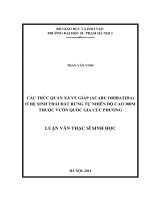 Cấu trúc quần xã ve giáp (acari oribatida) ở hệ sinh thái đất rừng tự nhiên độ cao 300m, thuộc rừng quốc gia cúc phương, tỉnh ninh bình (LV01305)