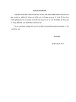 Nghiên cứu xử lý nước thải công nghiệp giấy bằng phương pháp keo tụ điện hóa   tuyển nổi sử dụng điện cực hợp kim nhôm hòa tan (full)