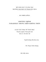 Phương trình parabolic trong miền không trơn (LV01218)