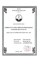 Nghiên cứu phát triển sản phẩm massage có nguồn gốc từ cây cỏ