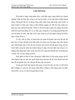 Kế toán công nợ tại công ty TNHH MTV bê tông TICCO