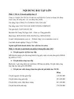 BÀI tập lớn môn tài CHÍNH DOANH NGHIỆP