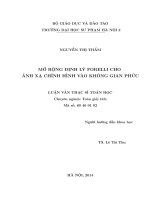 Mở rộng định lý forell cho ánh xạ chỉnh hình vào không gian phức 
