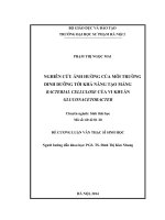 Nghiên cứu ảnh hưởng của môi trường dinh dưỡng tới khả năng tạo màng bacterial cellulose của vi khuẩn gluconacetobacter