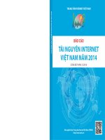 Báo cáo tài nguyên internet việt nam năm 2014
