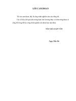 luận văn thạc sĩ  một số biện pháp nâng cao hiệu quả quản trị nguồn nhân lực tại công ty cổ phần tư vấn thiết kế viễn thông tin học hải phòng