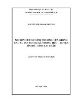 Nghiên cứu sự sinh trưởng của giống cao su ian873 tại xã noong hẻo huyện sìn hồ   tỉnh lai châu (LV01295)