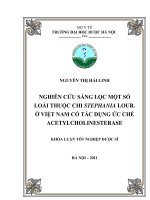 Nghiên cứu sàng lọc một số loài thuộc chi stephania lour  ở việt nam có tác dụng ức chế acetylcholinesterase