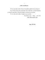 Một số biện pháp hoàn thiện công tác quản trị nhân lực tại công ty cổ phần tư vấn xây dựng nông nghiệp và cơ sở hạ tầng hải phòng   ngụy tiến hà