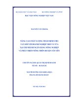 Nâng cao chất lượng thẩm định cho vay đối với doanh nghiệp nhỏ và vừa tại chi nhánh ngân hàng nông nghiệp và phát triển nông thôn huyện tân yên