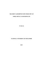 Transient absorption spectroscopy of noble metal nanoparticles 