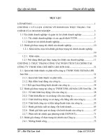 Đánh giá thực trạng tài chính và các giải pháp cải thiện tình hình tài chính tại công ty TNHH XNK chế biến LHS Sơn Hải