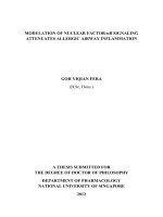 Modulation of nuclear factor b signaling attenuates allergic airway inflammation 1 