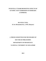 Potential tumor promoting effects of ectopic CD137 expression on hodgkin lymphoma 