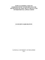 Surface modification of ferromagnetic nanoparticles for separation of toxic heavy metals and environmental applications 