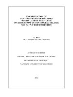 ENCAPSULATION OF PLATINUM BASED DERIVATIVES WITHIN CARBON NANOTUBES INVESTIGATIONS ON CONTROLLED RELEASE AND IN VIVO BIODISTRIBUTION 