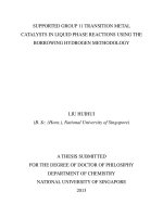 Supported group II transition metal catalysts in liquid phase reactions using borrowing hydrogen methodology 2 