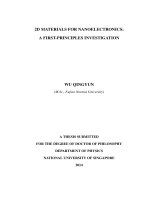 2D materials for nanoelectronics  a first principles investigation