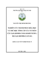 Nghiên cứu thành phần hoá học và thử độc tính cấp của vỏ thân cây gạo ( bombax malabaricum DC ) họ gạo ( bombacaceae)