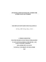Investigation of si anode for LI ion batteries 