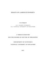 ESSAYS ON LABOR ECONOMICS 