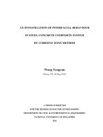 An investigation of interfacial behaviour in steel concrete composite system by cohesive zone method 