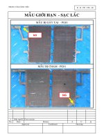 SOP   điểm KIỂM SOÁT tới hạn (working poit)