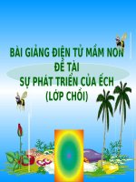 Bài giảng điện tử mầm non lớp Chồi đề tài Sự phát triển của ếch
