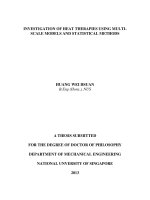 Investigation of heat therapies using multi scale models and statistical methods 
