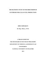 Mechanistic study of fischer tropsch synthesis for clean fuel production 